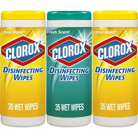 Teacher Supply of Disinfectant Wipes